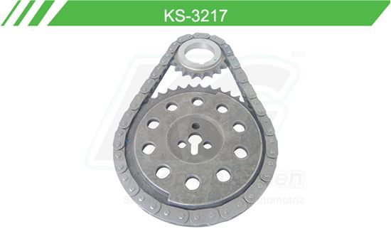 Imagen de Distribución de Cadena KS-3217