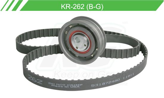 Imagen de Kit de Distribución KR-262 (B-G)
