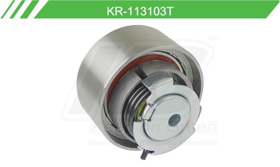 Imagen de Poleas de Accesorios y Distribución KR-113103T