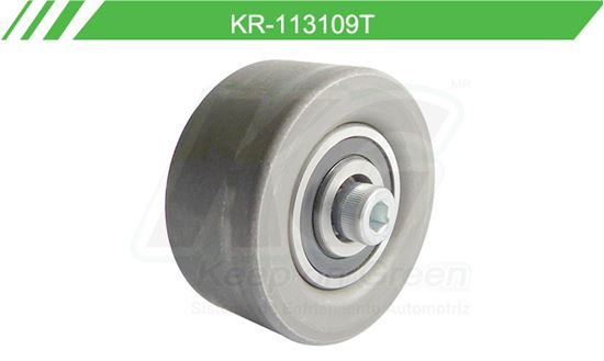 Imagen de Poleas de Accesorios y Distribución KR-113109T