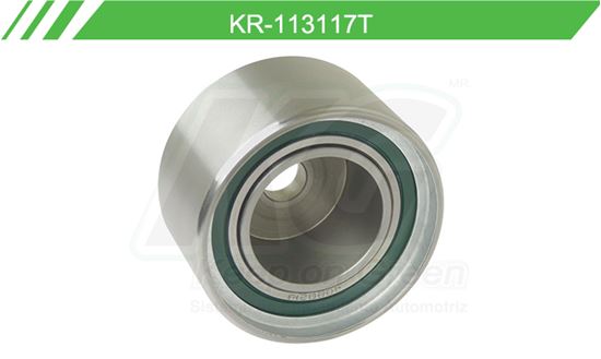 Imagen de Poleas de Accesorios y Distribución KR-113117T