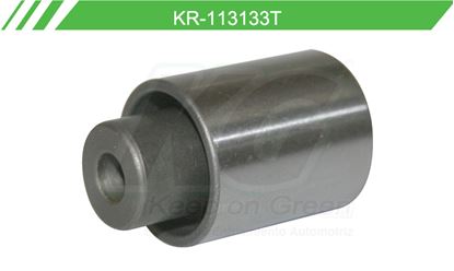 Imagen de Poleas de Accesorios y Distribución KR-113133T