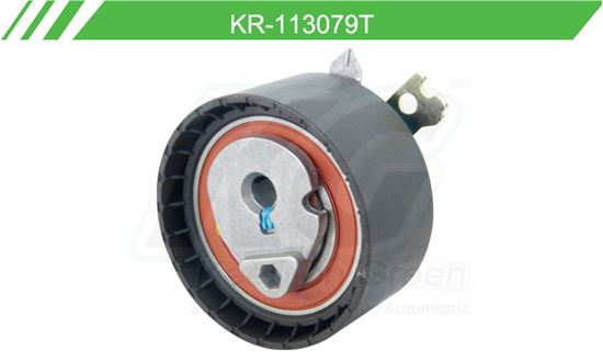 Imagen de Poleas de Accesorios y Distribución KR-113079-T